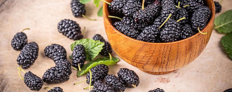 梦见吃桑葚好不好？梦见桑葚预示... 梦到吃桑葚什么意思
